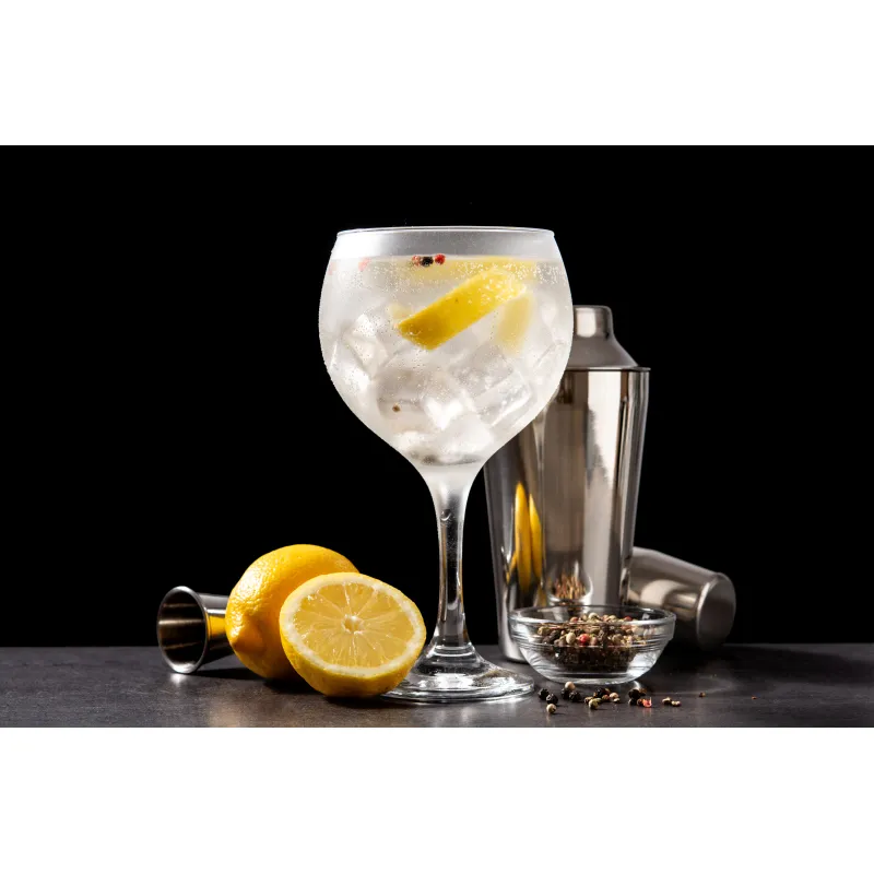  GinTonic 0,2l 